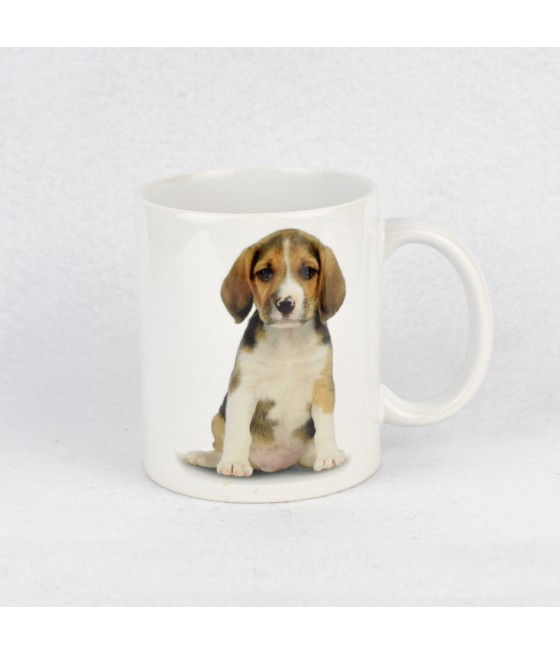 Κούπα Μπίγκλ (Beagle)
