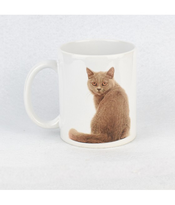 Κούπα Γάτα Κανελί