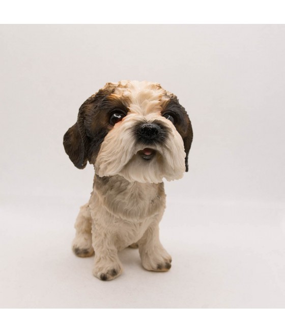 Σιχ Τσου (Shih Tzu)