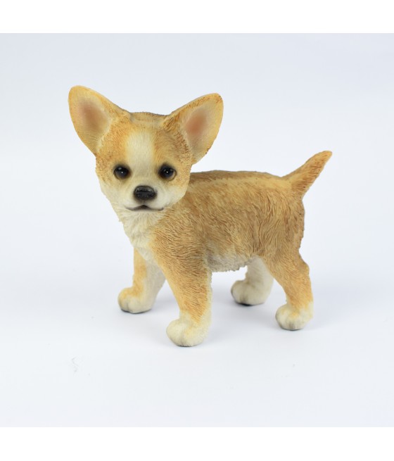 Τσιουάουα (Chihuahua)
