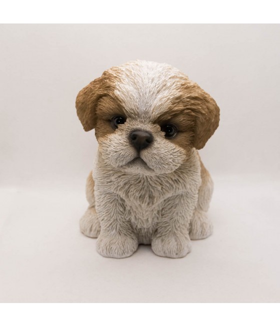 Σιχ Τσου (Shih Tzu)