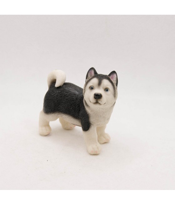 Χάσκι (Husky)