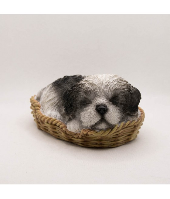 Σιχ Τσου (Shih Tzu), σε καλάθι