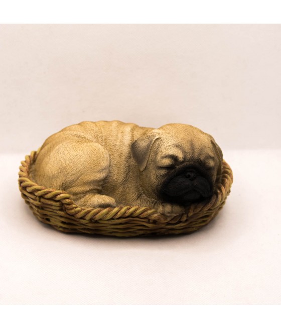 Παγκ (Pug) Που Κοιμάται σε...