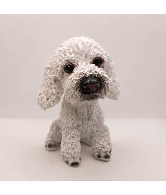 Κανίς (Poodle)
