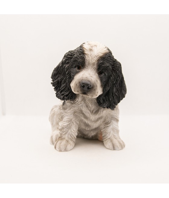 Κόκερ Σπανιέλ (Cocker Spaniel)