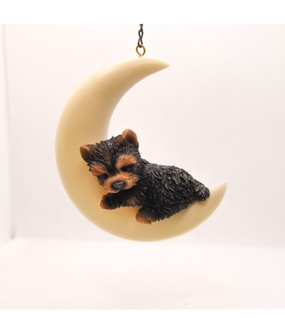 Γιορκσάιρ Τεριέ (Yorkshire Terrier) σε Φεγγάρι