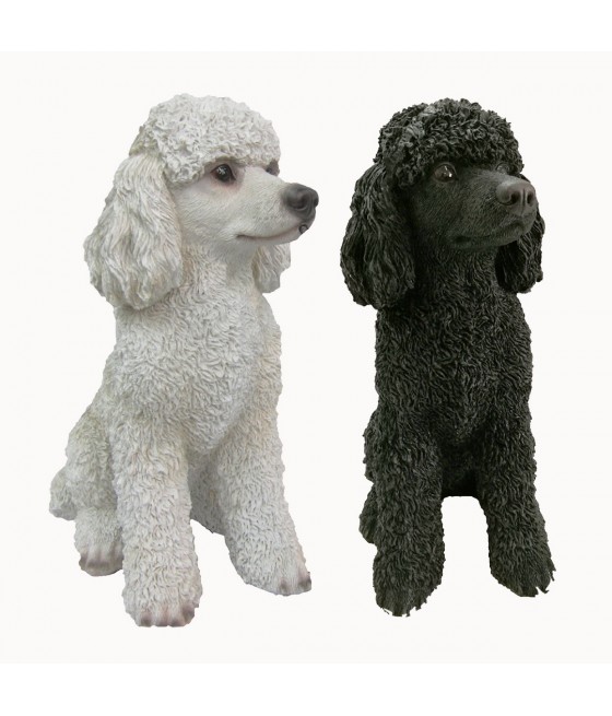 Κανίς (Poodle)