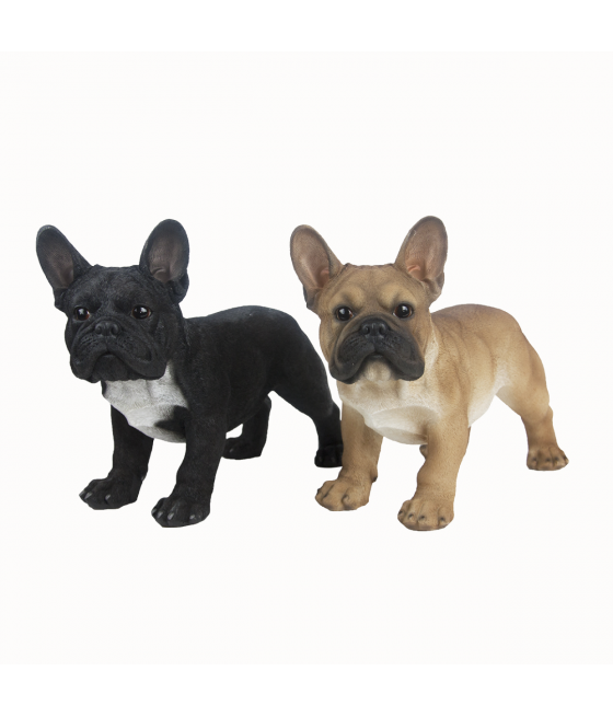 Γαλλικό Μπουλντόγκ (French Bulldog) όρθιο