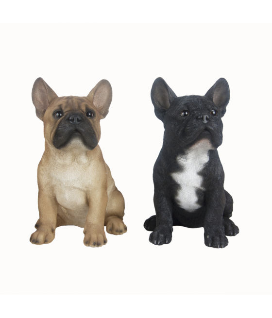 Γαλλικό Μπουλντόγκ (French Bulldog) Καθιστό