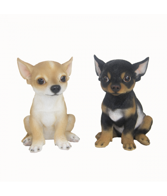 Τσιουάουα (Chihuahua)