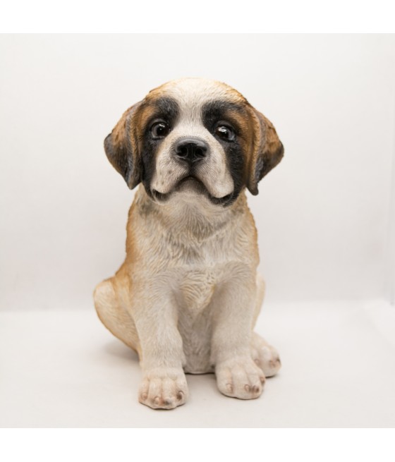 Αγ. Βερνάρδου (Saint Bernard)