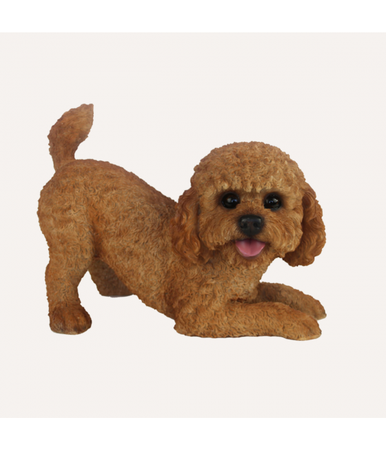 Κανίς (Poodle Apricot),...
