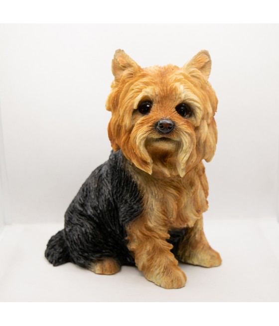 Γιορκσάιρ Τεριέ (Yorkshire Terrier) Καθιστό