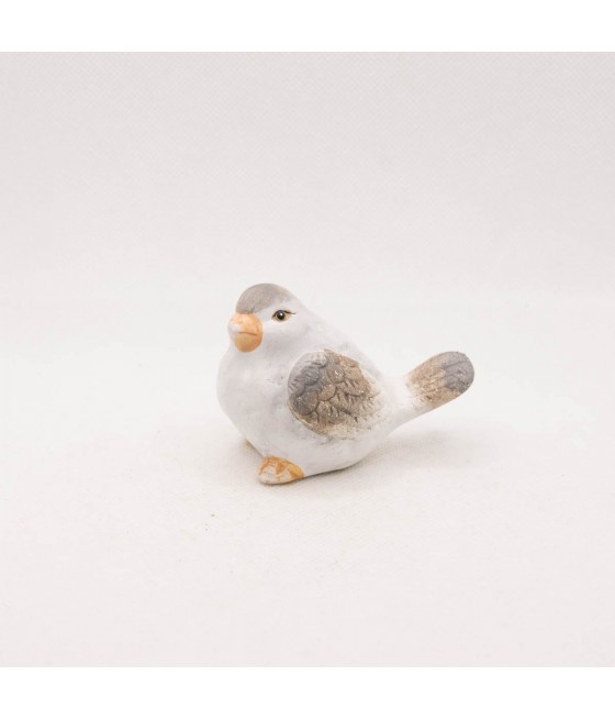 Πουλάκι Άσπρό Στρουμπουλό