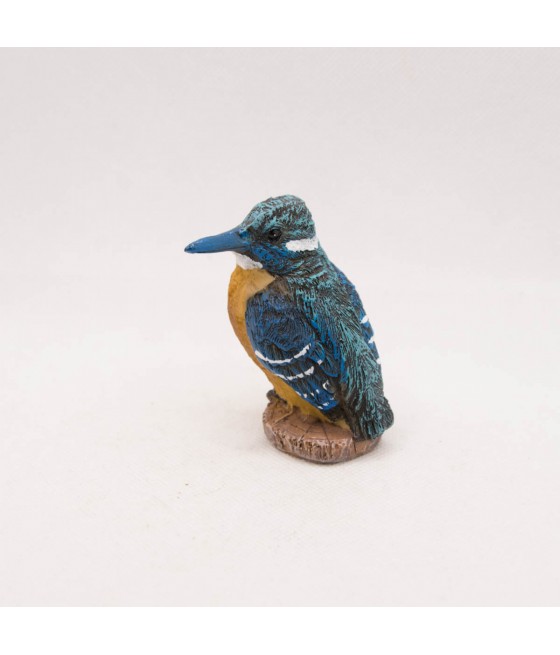 Πουλάκι Κολιμπρί