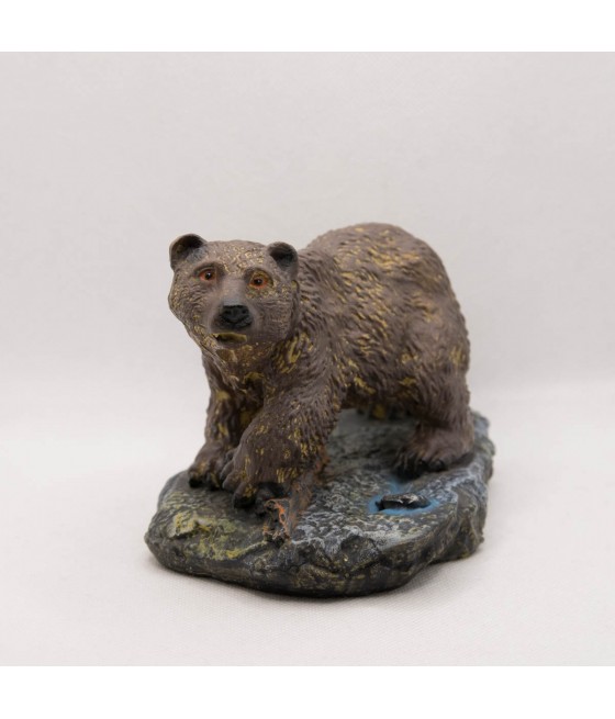 Αρκούδα σε ποτάμι