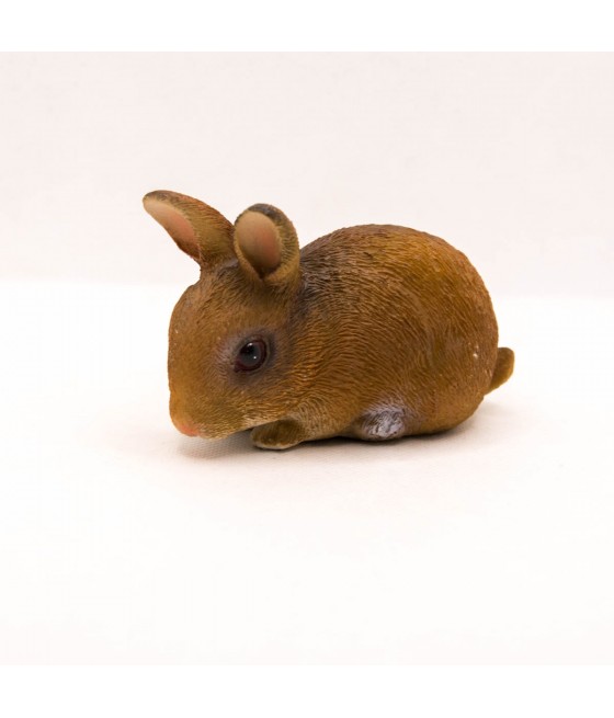 Λαγός που τρώει