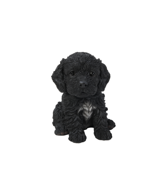 Κοκαπού μαύρο καθιστό (Cockapoo)