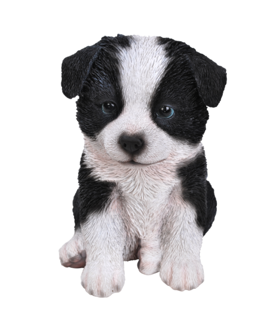 Τσοπανόσκυλο, ασπρόμαυρο, καθιστό (Sheepdog)