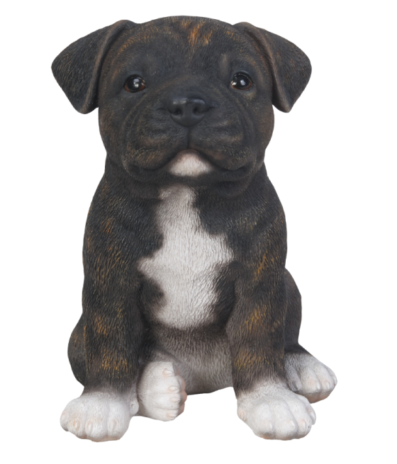 Στανφορσάιρ Μπράιντλ (Staffordshire Brindle), καθιστό, καφέ-λευκό