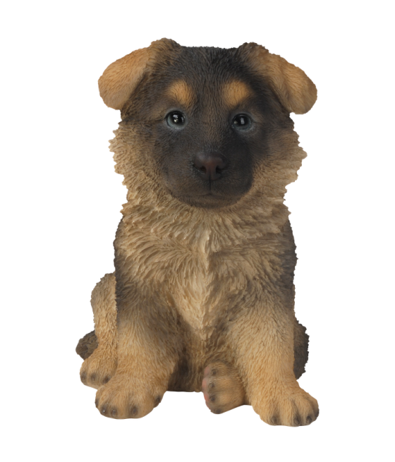 Γερμανικός ποιμενικός (Alsatian), καθιστός