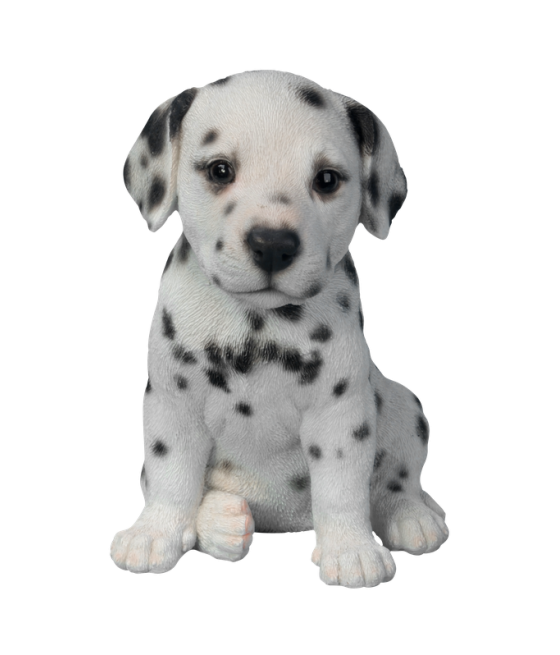 Δαλματίας (Dalmatian) σκύλος, καθιστός