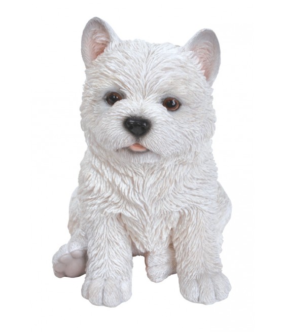 Γουέστι (West Highland) σκύλος, λευκό, καθιστός