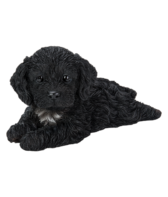 Κοκαπού (Cockapoo) σκύλος,...