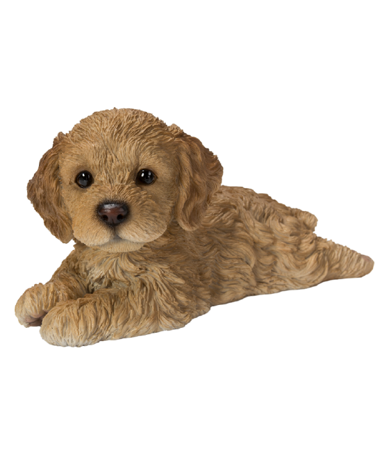 Κοκαπού (Cockapoo) σκύλος,...