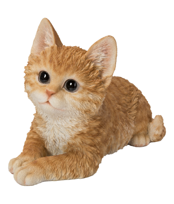 Γατάκι τζίντζερ (Ginger),...