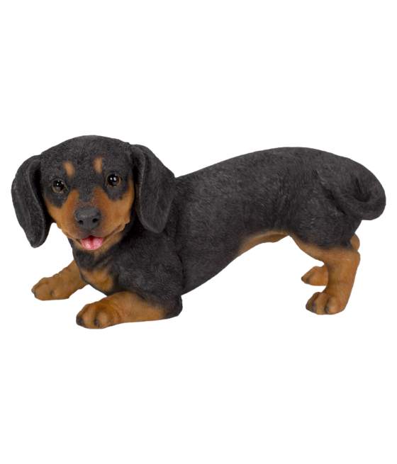 Ντάτσχουντ (Dachshund)...