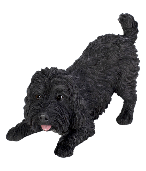 Κοκαπού (Cockapoo) σκύλος,...