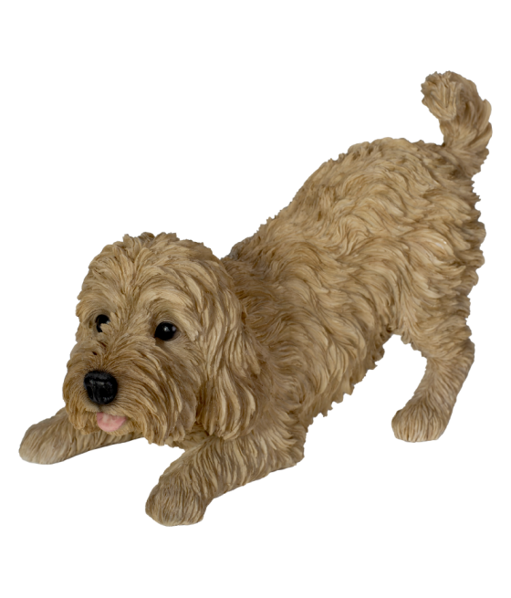 Κοκαπού (Cockapoo) σκύλος,...