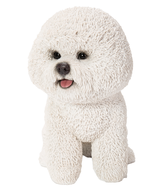 Μπισόν Φριζ (Bichon Frise) σκύλος, καθιστός, λευκός