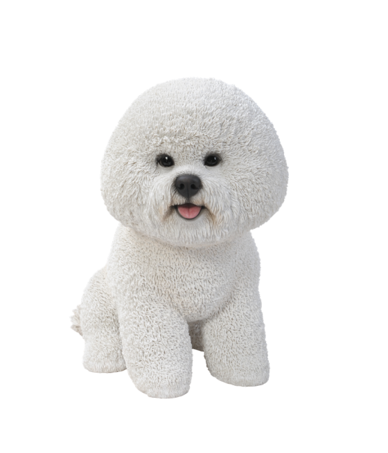 Μπισόν Φριζ (Bichon Frise) σκύλος, καθιστός, λευκός, μεγάλος