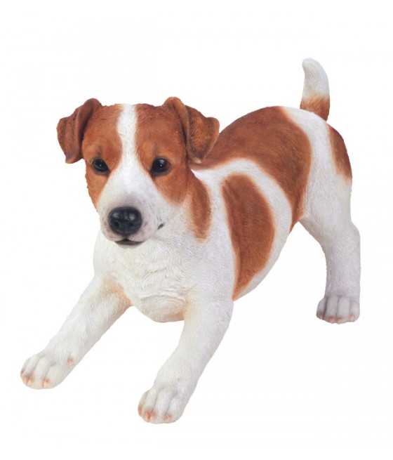 Τζακ Ράσελ (Jack Russel)...
