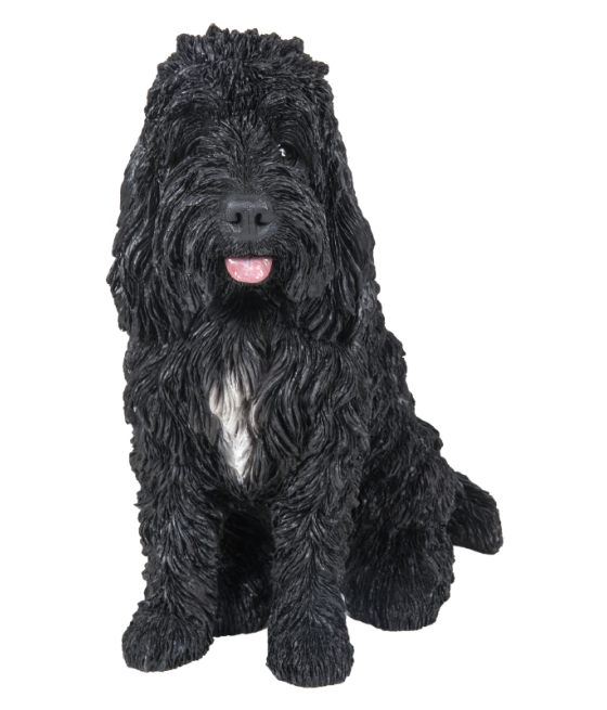 Κοκαπού (Cockapoo) σκύλος,...