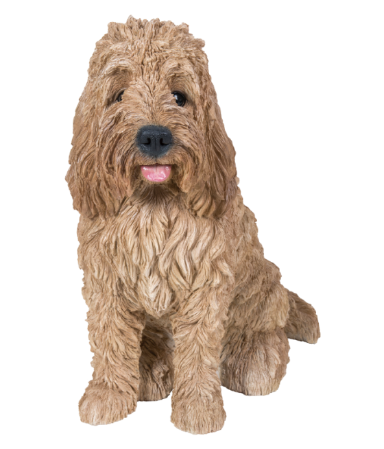 Κοκαπού (Cockapoo) σκύλος,...