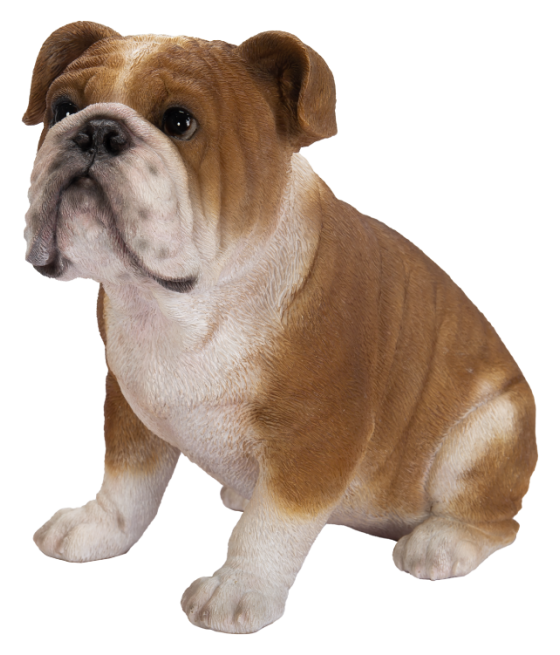 Μπουλντόγκ (Bulldog) ,...