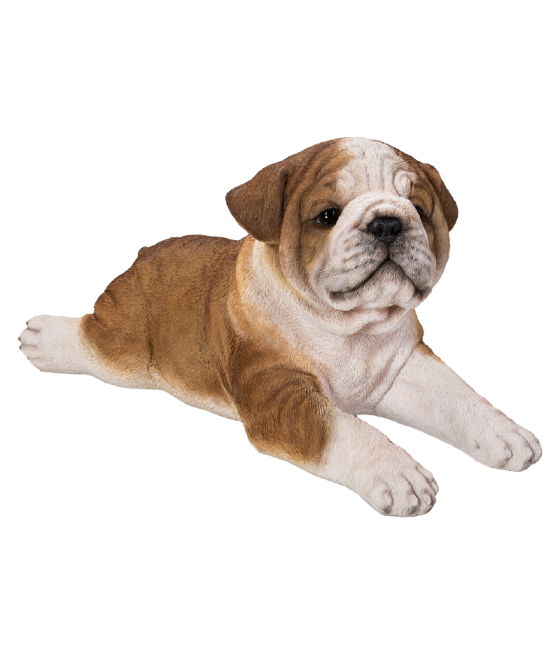 Μπουλντόγκ (Bulldog)...