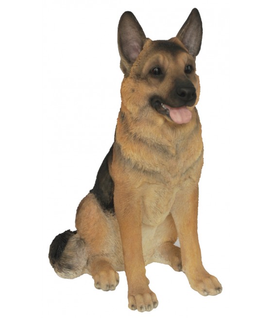 Γερμανικός ποιμενικός σκύλος, καθιστός, καφέ, μεγάλος