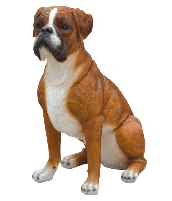 Μπόξερ (Boxer) σκύλος,...
