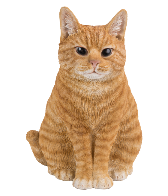 Γάτα Τζίντζερ (Ginger),...