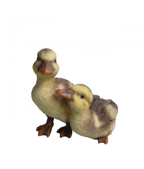 Παπάκια, κίτρινο-καφέ