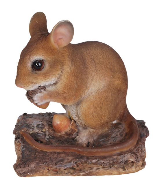 Ποντικάκι του δάσους με βελανίδια