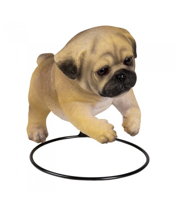 Σκύλος ράτσας Παγκ (Pug) πάνω σε βάση