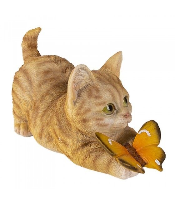 Γατάκι Τζίντζερ (Ginger) παίζει με πεταλούδα