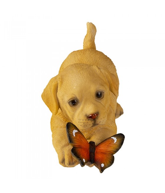 Σκύλος Λαμπραντόρ (Labrador) παίζει με πεταλούδα