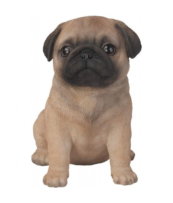 Σκύλος Παγκ (Pug) καθιστό